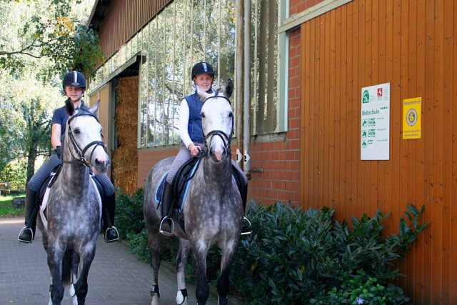 qualifizierter Reitunterricht auch für Kinder