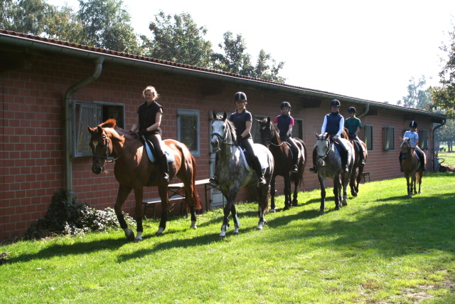 Ausritt mit erfahrenen Reitlehrern